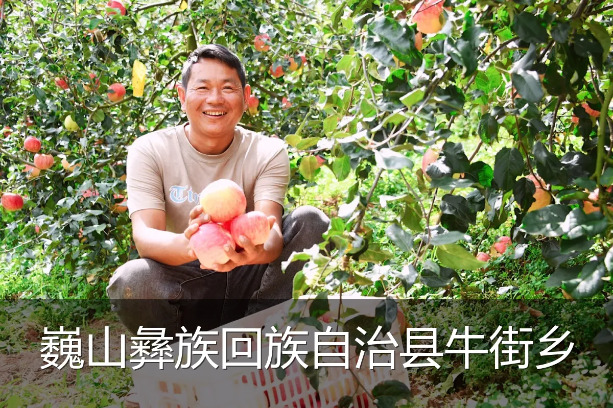 巍山彝族回族自治县牛街乡
